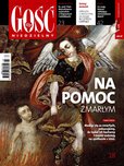 : Gość Niedzielny - Koszalińsko-Kołobrzeski - 43/2017