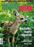 : Przyroda Polska - 8/2017
