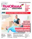 : Panorama Leszczyńska - 31/2022