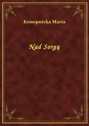 : Nad Sorgą - ebook