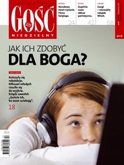 : Gość Niedzielny - Gliwicki - e-wydanie – 17/2017