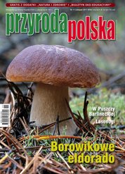 : Przyroda Polska - e-wydanie – 11/2017