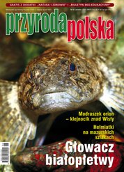 : Przyroda Polska - e-wydanie – 6/2021