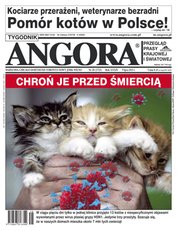 : Angora - e-wydanie – 28/2023