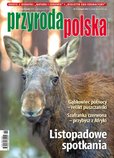 : Przyroda Polska - 11/2022