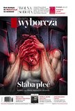 : Gazeta Wyborcza - Płock - 87/2024