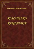 Kościuszko Kandyduje - ebook