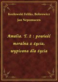 ebooki: Amalia. T. 2 : powieść moralna z życia, wypisana dla życia - ebook
