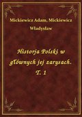 Historja Polski w głównych jej zarysach. T. 1 - ebook