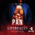 Romans i erotyka: Pan Nieidealny - audiobook