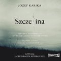Szczelina - audiobook