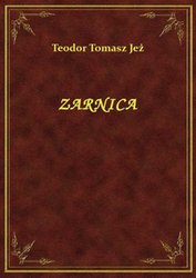 : Zarnica - ebook