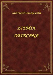 : Ziemia Obiecana - ebook