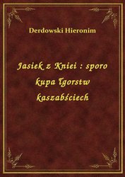 : Jasiek z Kniei : sporo kupa łgorstw kaszabściech - ebook
