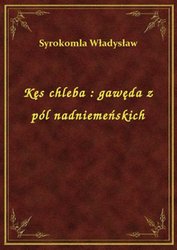 : Kęs chleba : gawęda z pól nadniemeńskich - ebook