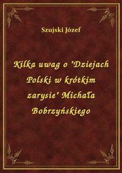 : Kilka uwag o "Dziejach Polski w krótkim zarysie" Michała Bobrzyńskiego - ebook