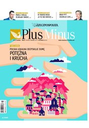 : Plus Minus - e-wydanie – 31/2022