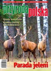 : Przyroda Polska - e-wydanie – 4/2024